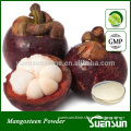 100% Natural Dried Mangosteen Fruit Powder